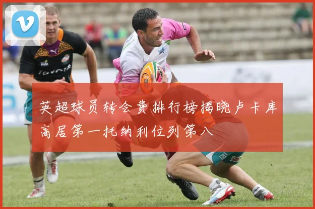 英超球员转会费排行榜揭晓卢卡库高居第一托纳利位列第八